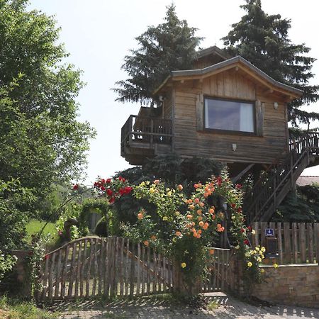 Willa Baumhaus Imbach Zewnętrze zdjęcie